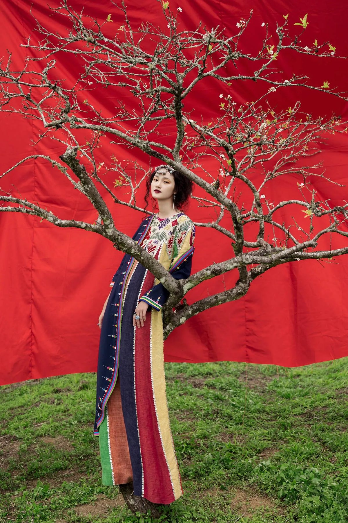 A model in a striped floor-length Chula gown standing in the branches of a bare blossom tree against red cloth