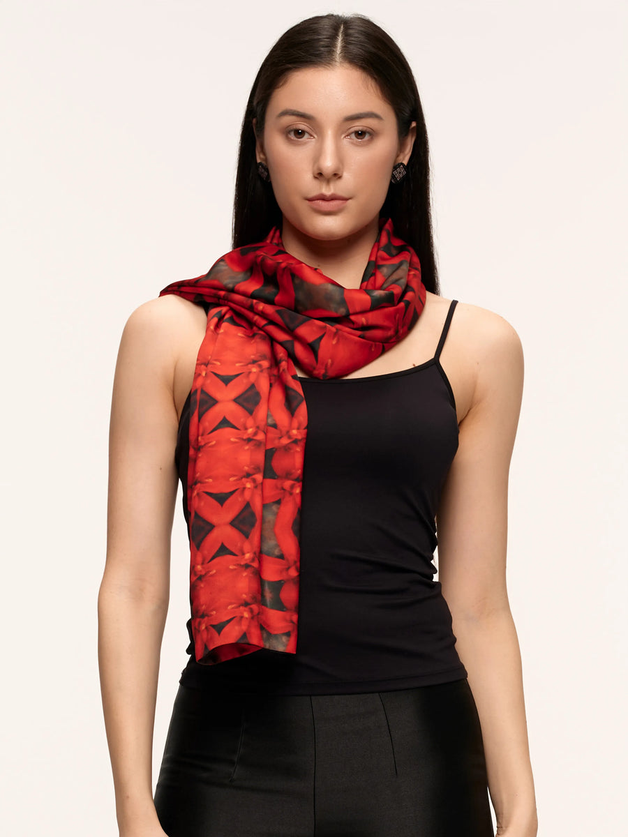 Hanoi Canna Bolero