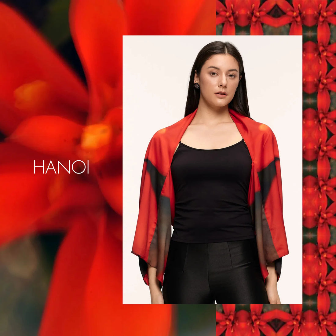 HANOI RED CANNA