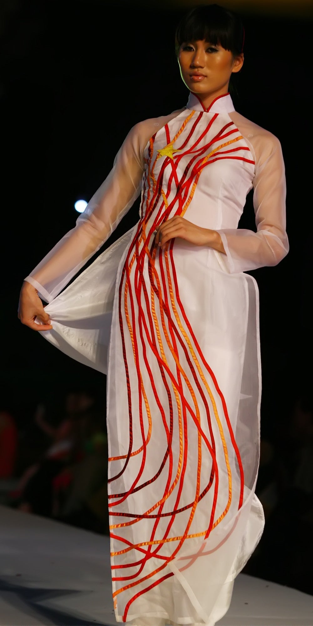 Ao Dai – tagged organza silk – Chula Fashion